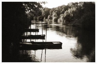 three little boat
Négatif bw scané


