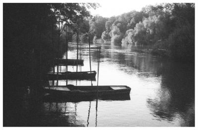 brut de scan
