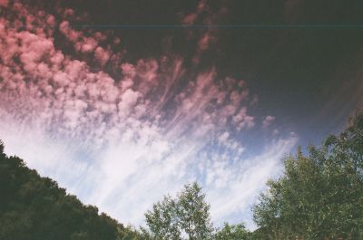 69450066.JPG