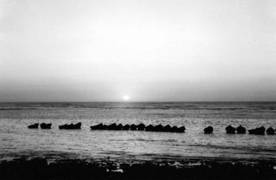 sunset in b&w
