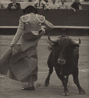 Corrida
C'est un extrait de photo 24x30 , c'est pour ça que la cape est coupée). Corrida du 12/08/2007 à Béziers. 
Film tri-x développé au D76. Papier Fomatone 542 au Dektol.
