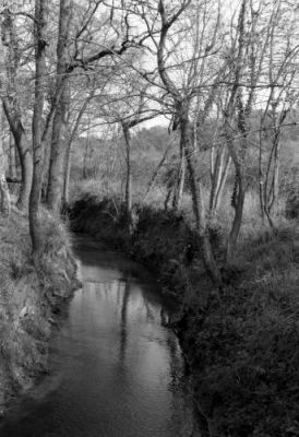 Le Courbet
Mots-clés: Contax TVS Ilford HP5