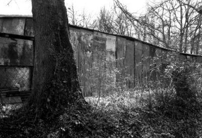 Abrit des Ânes
Mots-clés: Contax TVS Ilford HP5