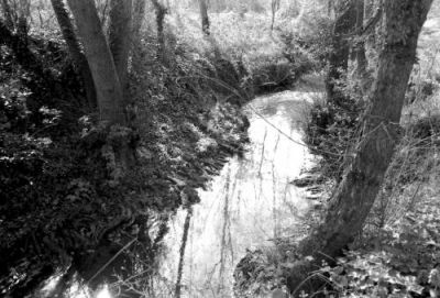 Le Courbet
Mots-clés: Contax TVS Ilford HP5