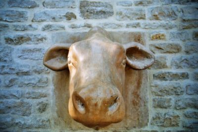 La Vache
C'est plutôt mal cadré mais j'aime bien cette sculpture en pierre calcaire du Châtillonnais (au Cours l'Abbé à Châtillon-sur-Seine).
Mots-clés: vache pierre sculpture