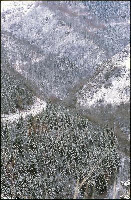 vallée de la têt (66)
contax RX-agfa CTPRECISA 100
