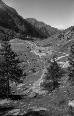 belvédère du mont viso 2
pan f - konica t4 - 28mm

