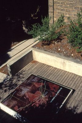 maquettes site de Paulilles
contax ST-velvia 50-distagon 35mm f/1.4-
