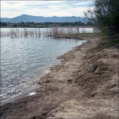 lac de villeneuve
autocord CDS I - portra 160 -
