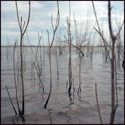 lac de villeneuve
autocord CDS I - portra 160 -
