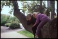 famille027A.jpg