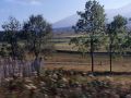 train_jaune-footing.jpg