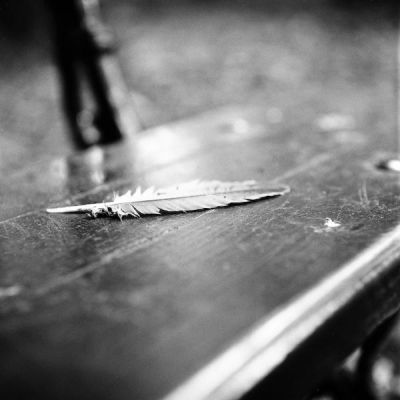 rollei_2007_07_17_002.jpg