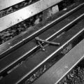 rollei_2007_07_17_005.jpg