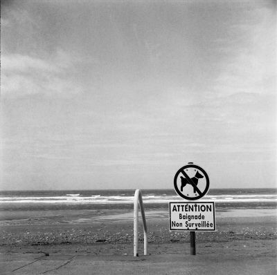 Chien-baignade-non-surveillé-web.jpg
