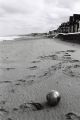 Nom du fichier=plage-ballon-2-web.jpg
Taille du fichier=66Ko
Dimensions : 400x600
Ajouté le : 13 Janvier 2010 plage-ballon-2-web.jpg