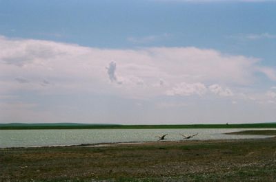 1Mongolia0.jpg