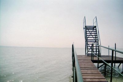 2011
