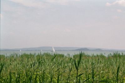 2011
