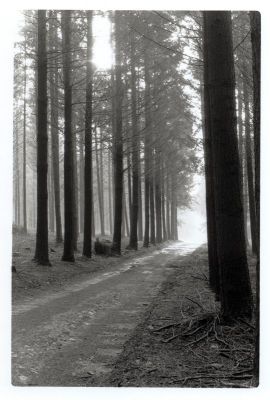Montdemot
