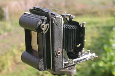 P10.jpg