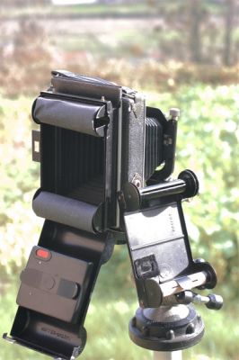 P12.jpg