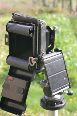 P13.jpg
