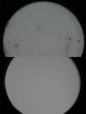 P15.jpg