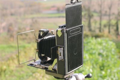 P9.jpg
