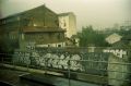 img009.jpg