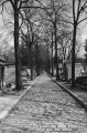 lachaise-2.jpg