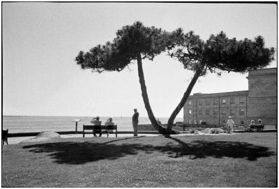 Image13-2.jpg