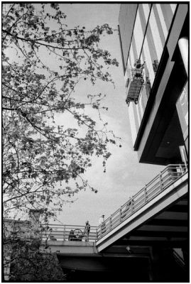 Image3.jpg