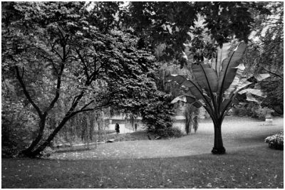 Mots-clés: Square des Batignolles