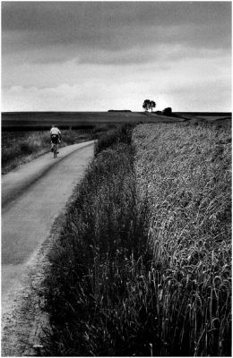 cycliste3.jpg