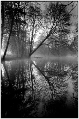 reflet.jpg