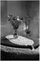 Image1-2.jpg