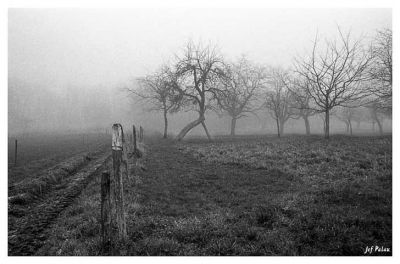 l'hiver est là
Campagne alsacienne prise en hiver
HP5
canon eos 30
scan nega coolscan V
