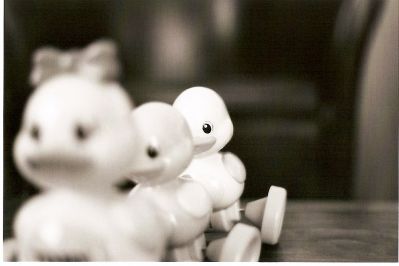 Coin coin
