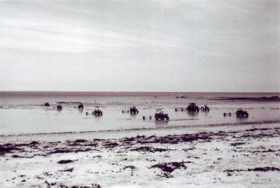 Tracteurs en marée basse
