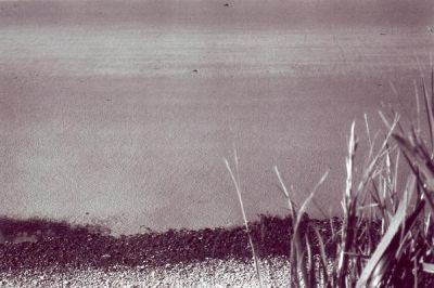 Ver sur mer
