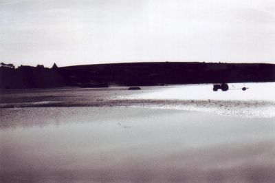 Tracteurs en marée basse
