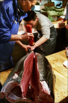 Tokyo, Tsukiji
