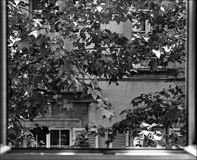 la fenêtre
Mamiya RB67 pro - 65mm - film HP5
