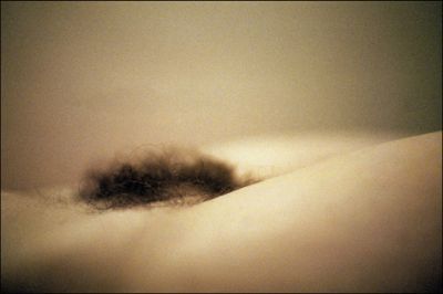 nikon F2 - 1,4/50 - Fuji press-800
