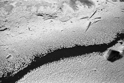 Nikon F2AS - 2,8/25 Zeiss - Agfa APX-100
Salins de Giraud
