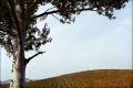 montmirail-3.jpg