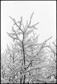 neige-fenetre-4.jpg