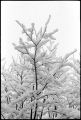 neige-fenetre-5.jpg