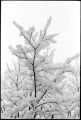 neige-fenetre-6.jpg